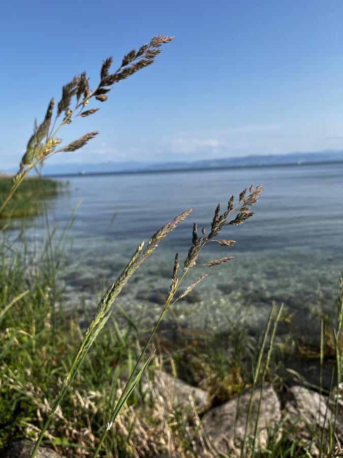 Kling Am Friedrichshafen